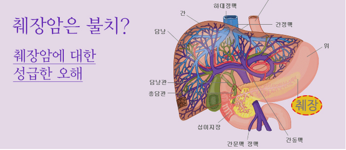 췌장암은 불치? 췌장암에 대한 성급한 오해 (새창보기)