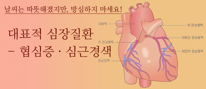 대표적 심장질환 - 협심증·심근경색! 날씨는 따뜻해졌지만, 방심하지 마세요(새창보기)