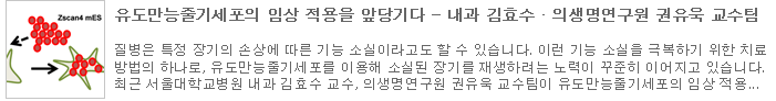 유도만능줄기세포의 임상 적용을 앞당기다 - 내과 김효수 ? 의생명연구원 권유욱 교수팀 (새창보기)