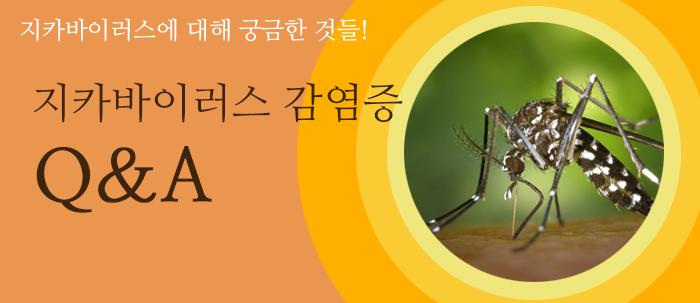 지카바이러스에 대해 궁금한 것들!(새창보기)