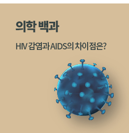 의학 백과(포스트) HIV 감염과 AIDS의 차이점은?