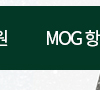 MOG항체지환