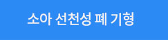 소아 선천성 폐 기형