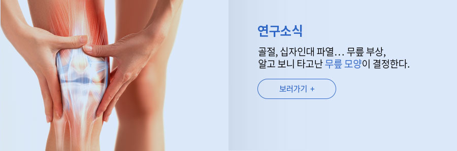 '[연구소식] 골절, 십자인대 파열… 무릎 부상, 알고 보니 타고난 무릎 모양이 결정한다.