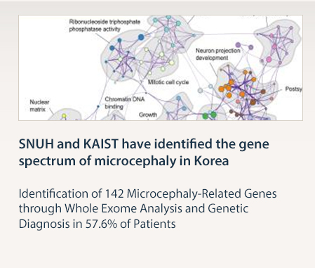 SNUH and KAIST have identified the gene spectrum of microcephaly in Korea  Identification of 142 Microcephaly-Related Genes through Whole Exome Analysis and Genetic Diagnosis in 57.6% of Patients  READ MORE 