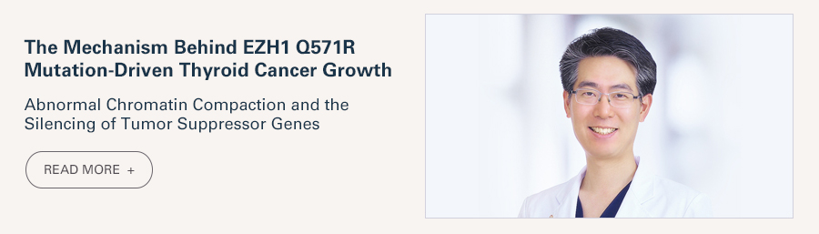 The Mechanism Behind EZH1 Q571R Mutation-Driven Thyroid Cancer Growth  Abnormal Chromatin Compaction and the Silencing of Tumor Suppressor Genes  READ MORE 