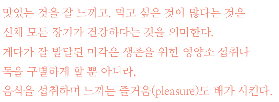 미각은 건강에 어떤 영향을 미치는가? - 2014/10/23